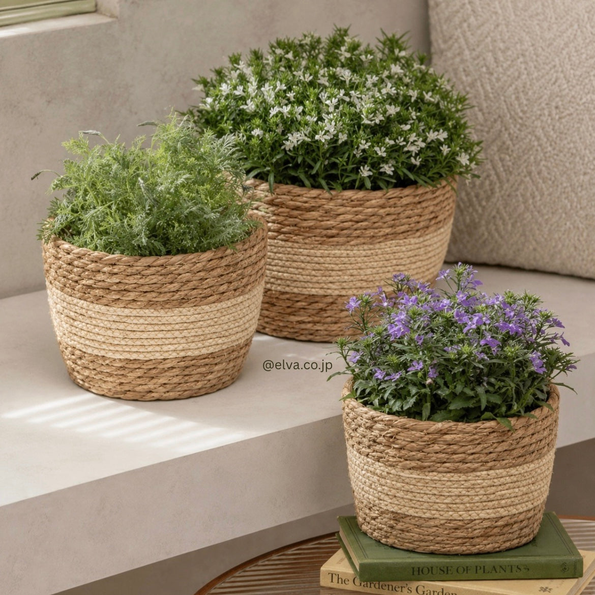 Mori Basket™｜天然素材のラタンプランター 3点セット